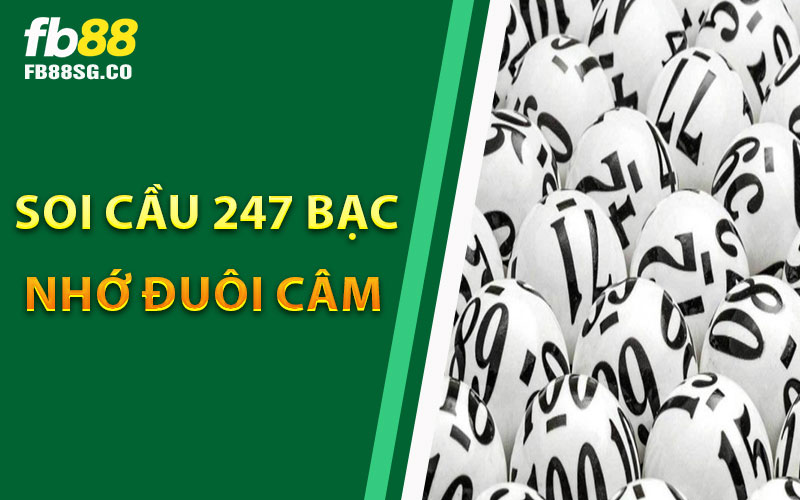 Soi Cầu 247 Bạc Nhớ Đuôi Câm